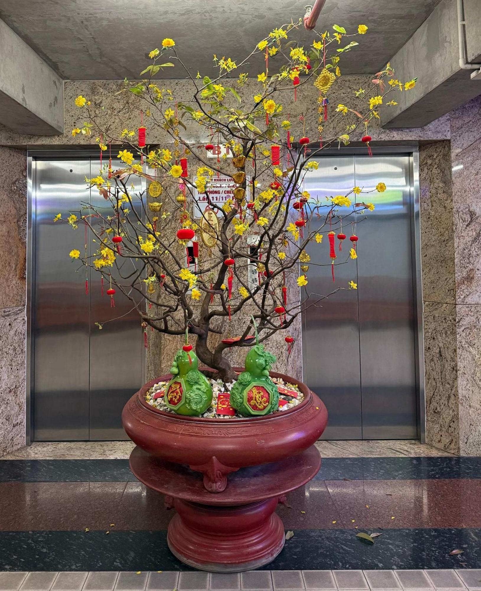Thien Tai Hotel 호치민 외부 사진